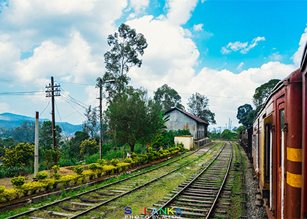 企业网站模板《聚鑫汇》（二）